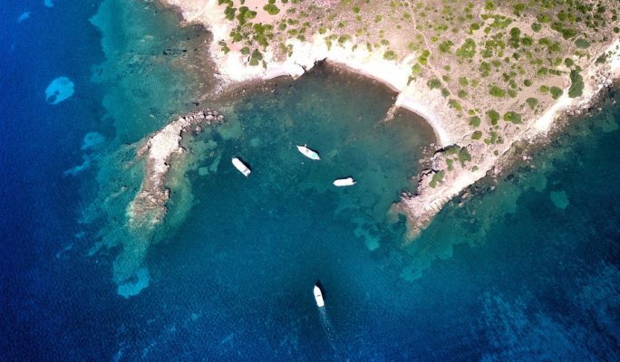 Mavi Tur Nedir ?